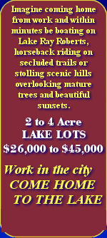 2 to 4 acre Lake Lots from $26,000 to $45,000