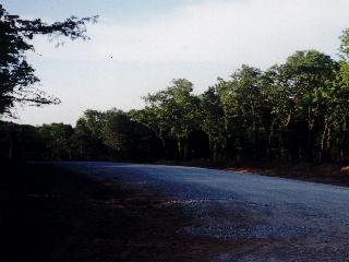 Beautiful rolling hills and trees next to Lake Ray Roberts