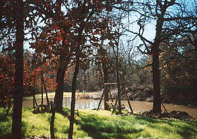 Swing on a creek side lot near Lake Ray Roberts